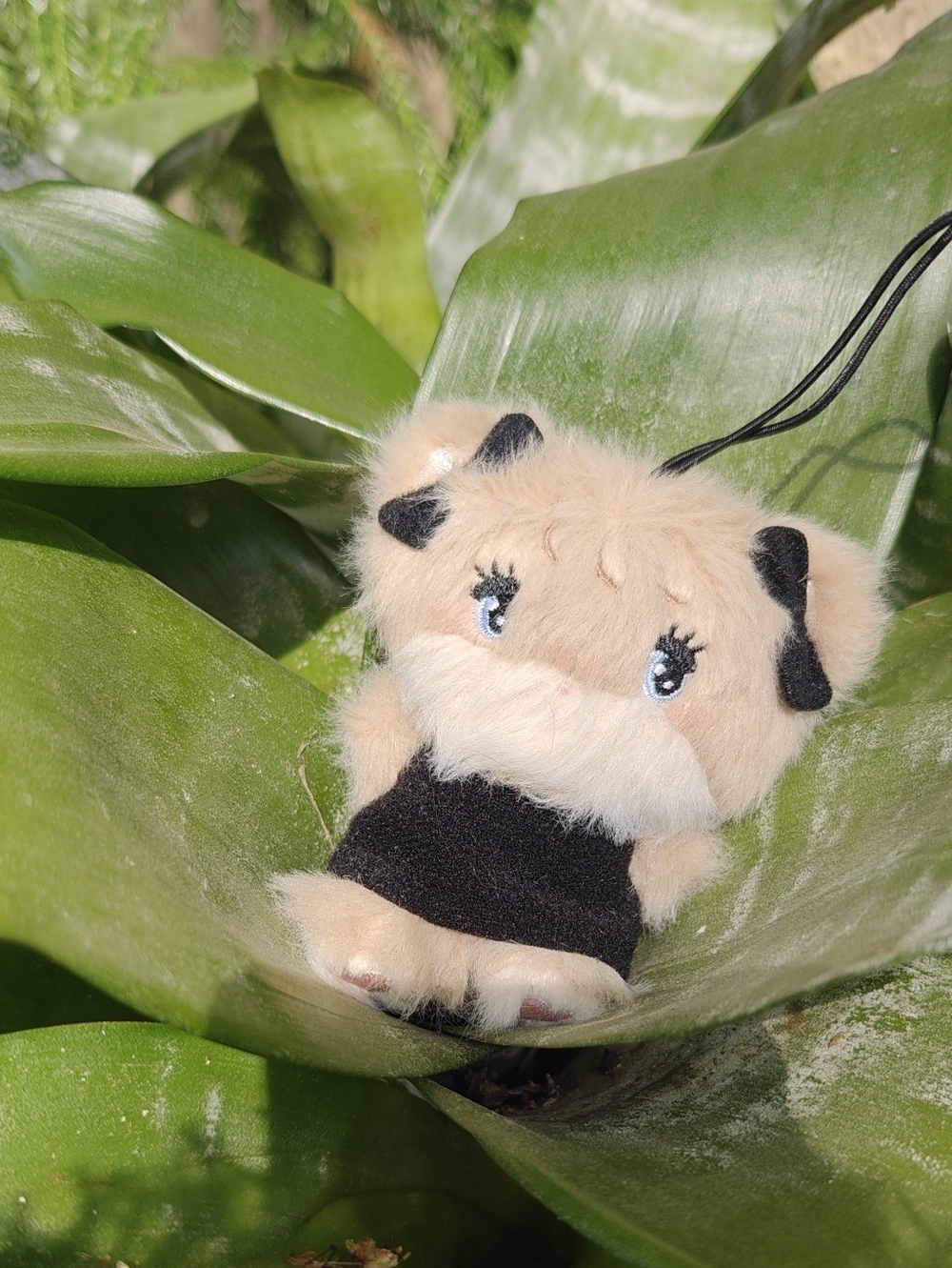 mikko characters BLACK RIBBON LATTE mascot
